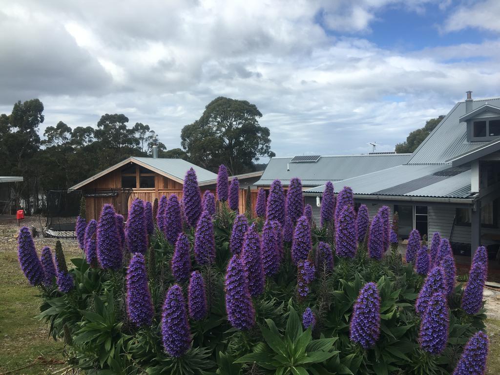 Bruny Island Lodge South Bruny Екстер'єр фото